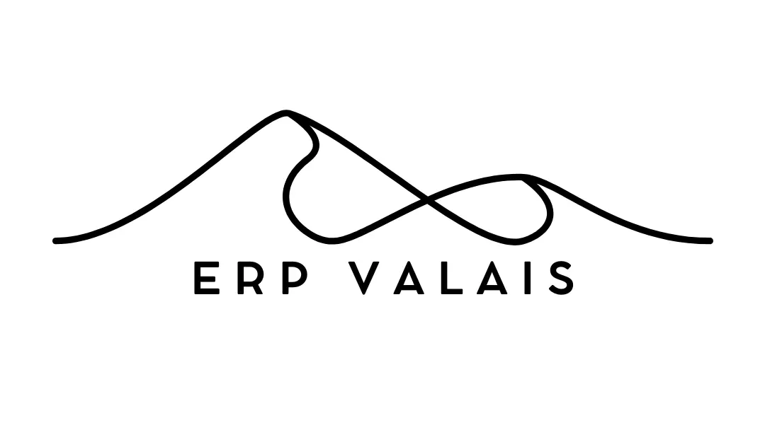 Odoo Valais